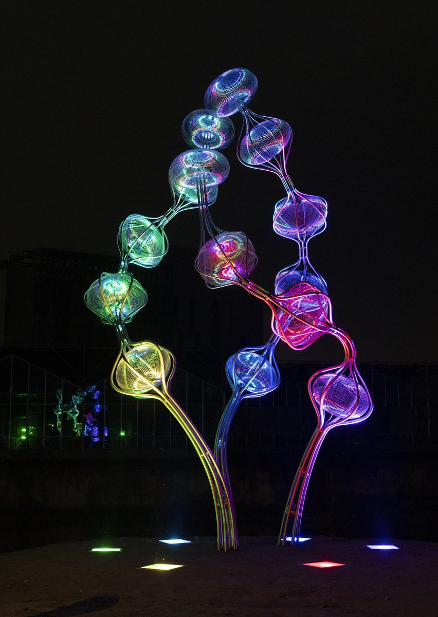 Light as Art: When Illumination Becomes the Medium